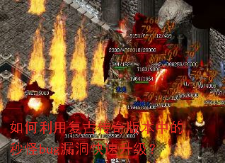 ������ø��Ŵ���汾�е����bug©������������