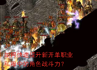 ��ο��������¿���ְҵ˽���еĽ�ɫս������