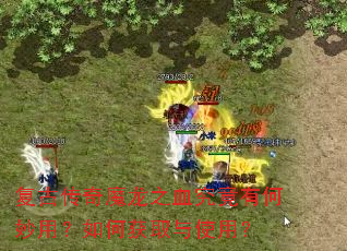 ���Ŵ���ħ��֮Ѫ�����к����ã���λ�ȡ��ʹ�ã�