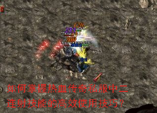 ���������Ѫ����˽���ж����似�ܵĸ�Чʹ�ü��ɣ�