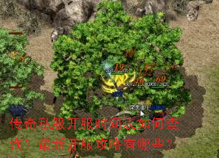 ����˽������ʱ�����β�ѯ�����¿�����������Щ��