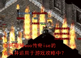 �������woo����ise�ĺ��岢��������Ϸ�����У�