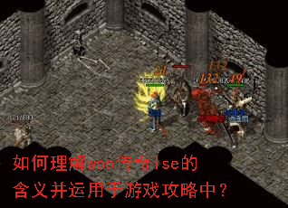 �������woo����ise�ĺ��岢��������Ϸ�����У�