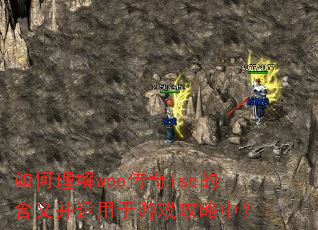 �������woo����ise�ĺ��岢��������Ϸ�����У�
