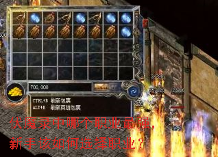 ��ħ¼���ĸ�ְҵ��ǿ�����ָ����ѡ��ְҵ��