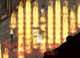 有没有适合一个人玩的单机版传奇游戏攻略指南? 有没有适合一个人玩的单机版传奇游戏攻略指南?