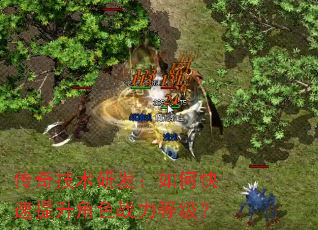 传奇技术研发:如何快速提升角色战力等级? 传奇技术研发:如何快速提升角色战力等级?