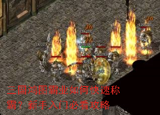 三国鸿图霸业如何快速称霸?新手入门必看攻略 三国鸿图霸业如何快速称霸?新手入门必看攻略