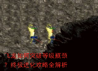 �������ͻ�Ƶȼ�ƿ�����ռ���������ȫ����