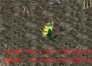 ����ͻ���wil��pak�ļ�Ŀ¼�ṹ��ν��������Ǹ�������Ϸ����ʲô���ã�