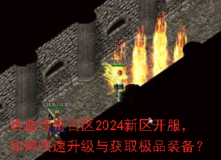 ��Ѫ�������2024������������ο����������ȡ��Ʒװ����