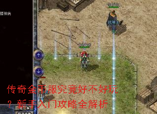 �����ҷ������ò����棿�������Ź���ȫ����
