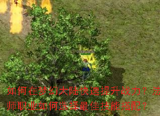 如何在梦幻大陆快速提升战力?法师职业如何选择最佳技能搭配? 如何在梦幻大陆快速提升战力?法师职业如何选择最佳技能搭配?