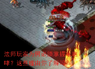 ��ʦ���Ϊ�α������ձ���������Щ�������˽���