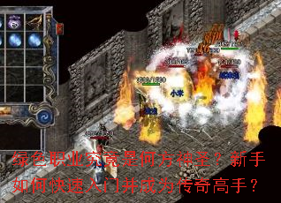 ��ɫְҵ�����Ǻη���ʥ��������ο������Ų���Ϊ������֣�