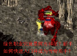 ��ɫְҵ�����Ǻη���ʥ��������ο������Ų���Ϊ������֣�
