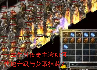 十二生肖传奇主演如何快速升级与获取神装? 十二生肖传奇主演如何快速升级与获取神装?